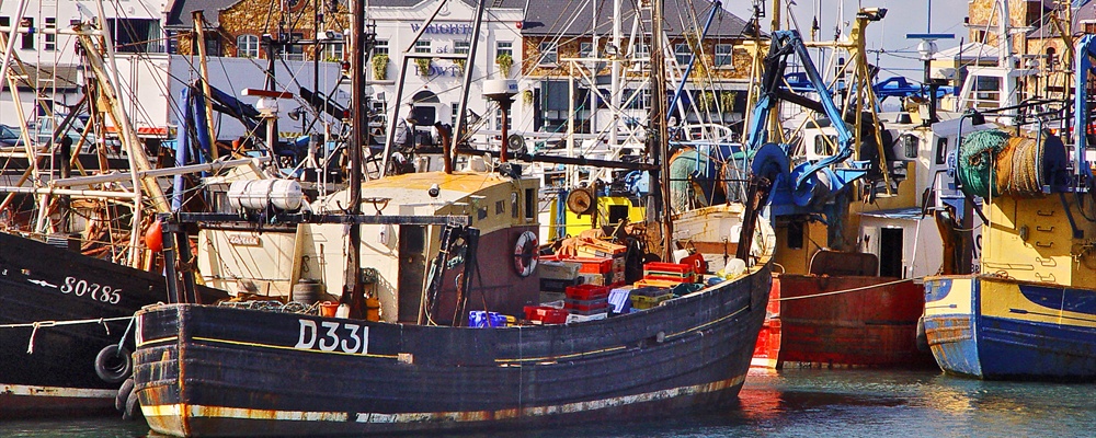 Boats in Howth